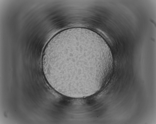 X0000091331236200708311430