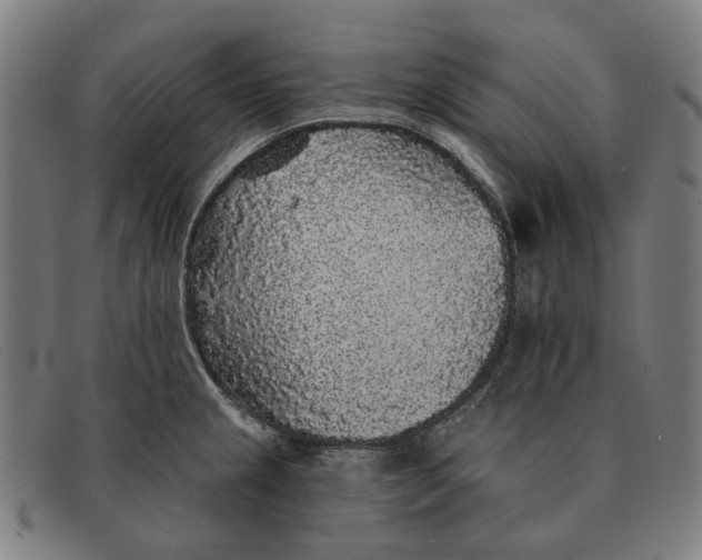 X0000091331237200708311430