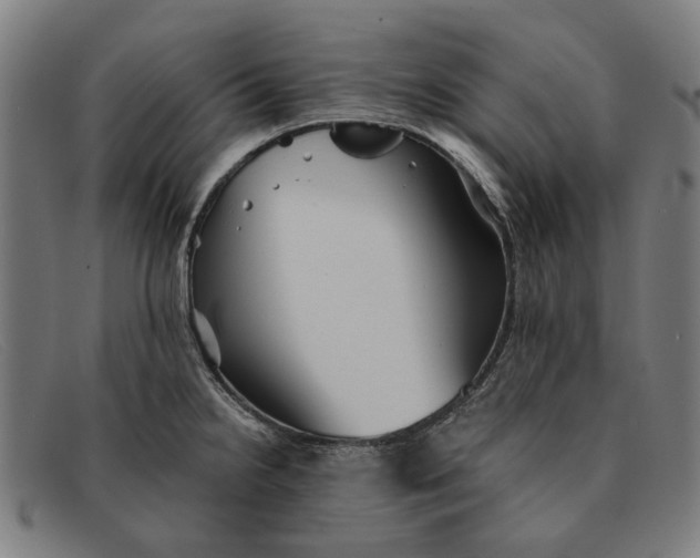 X0000091331238200708311430