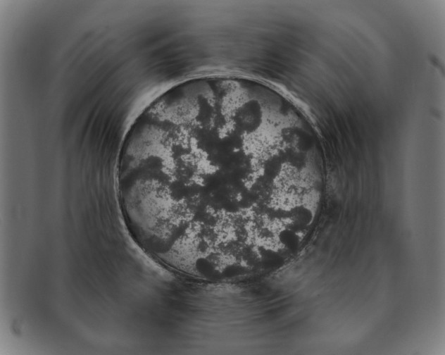 X0000091331239200708311430