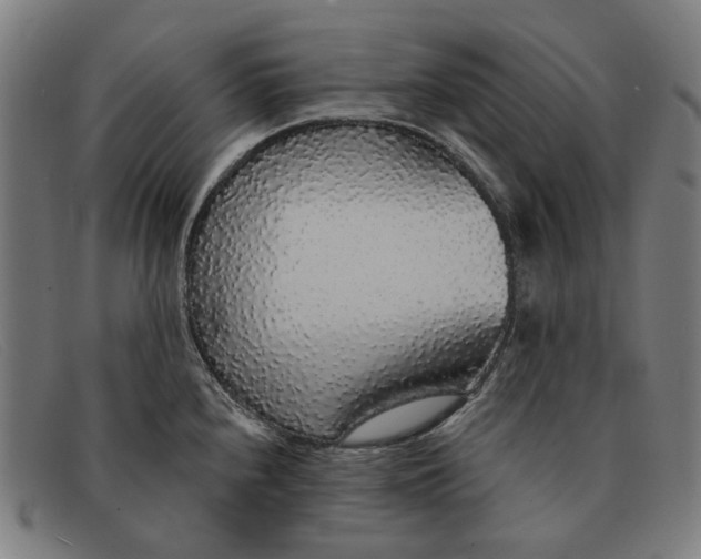 X0000091331240200708311430