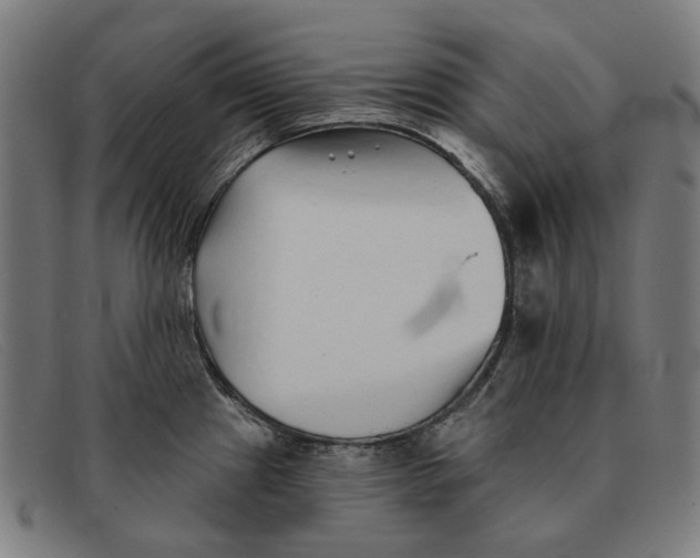 X0000091331241200708311430
