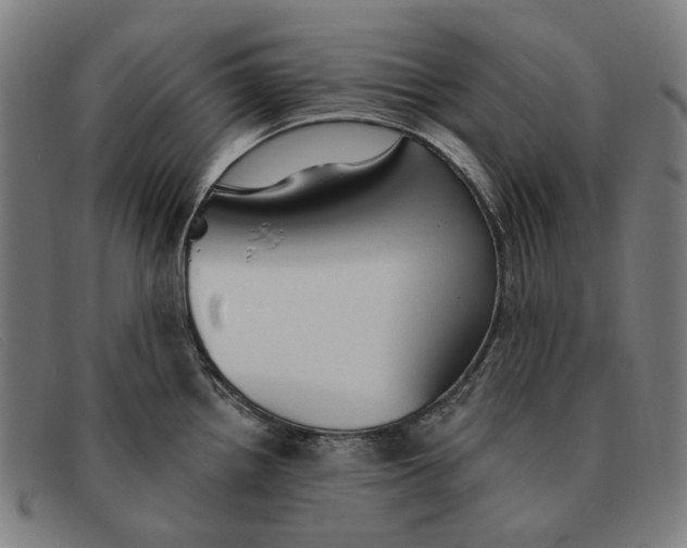 X0000091331242200708311430
