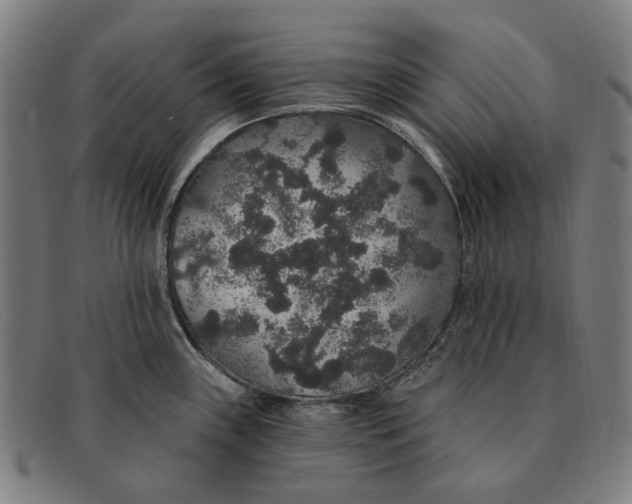 X0000091331243200708311430