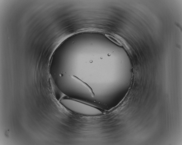 X0000091331244200708311430