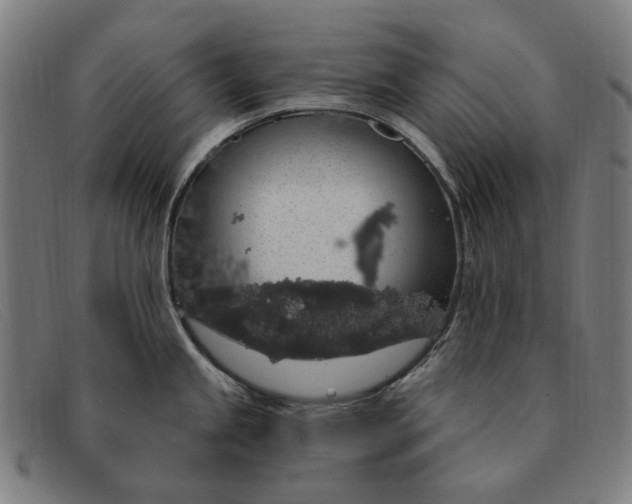 X0000091331245200708311430