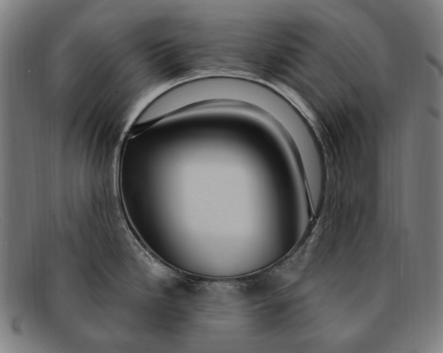 X0000091331246200708311430