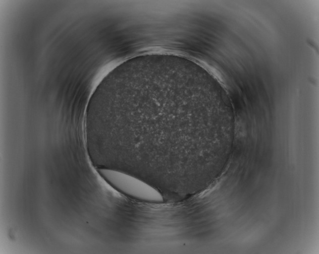 X0000091331247200708311430