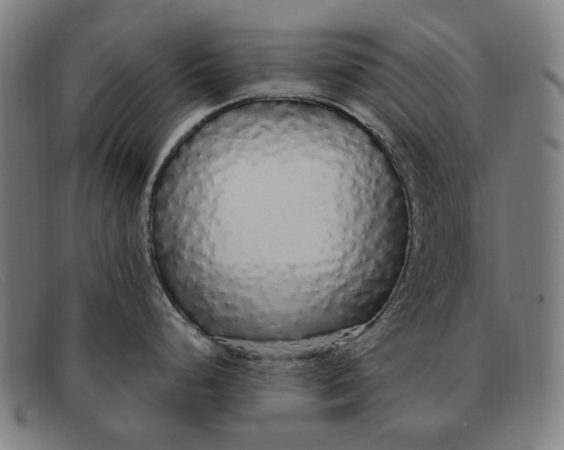 X0000091331248200708311430
