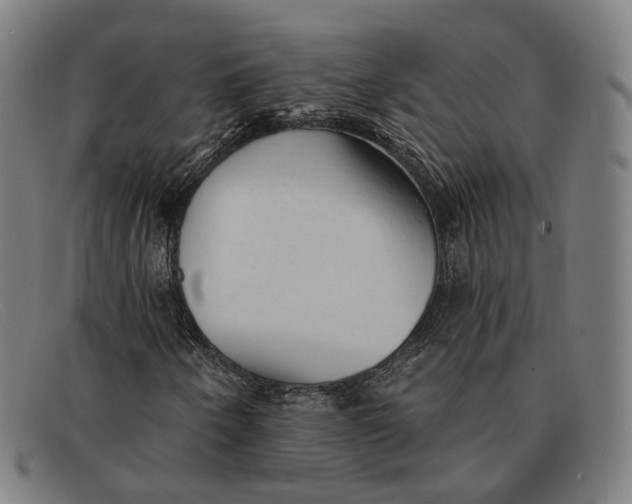 X0000091331250200708311430