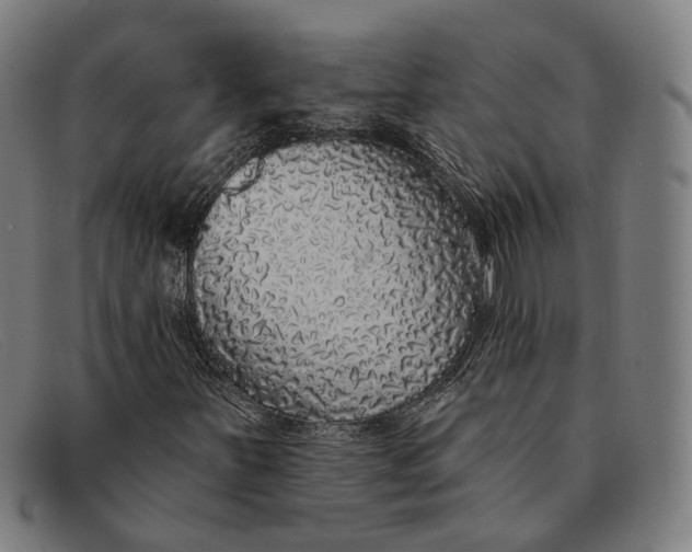 X0000091331251200708311430