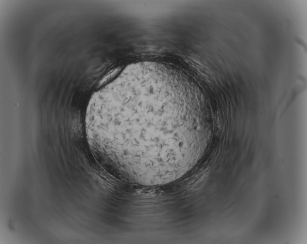 X0000091331252200708311430