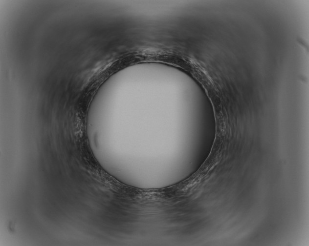 X0000091331253200708311430