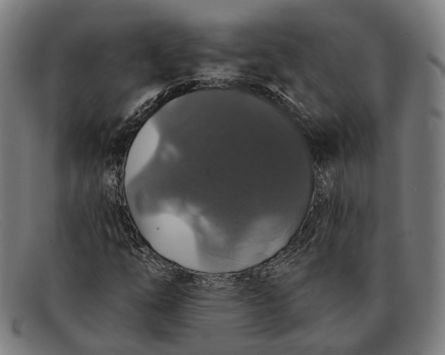 X0000091331254200708311430