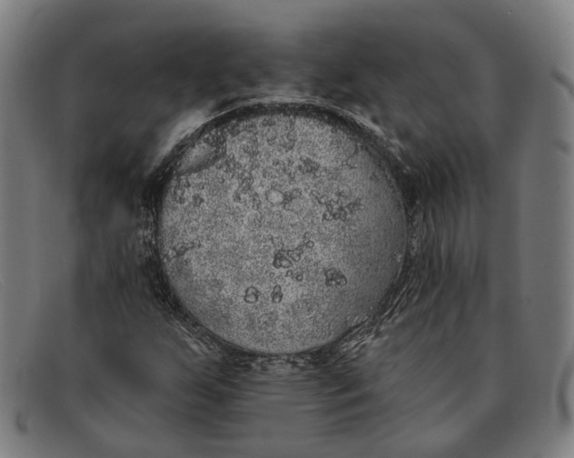 X0000091331255200708311430