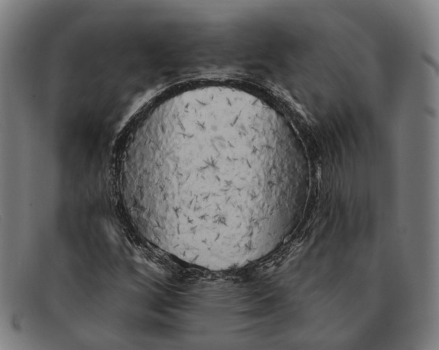 X0000091331256200708311430