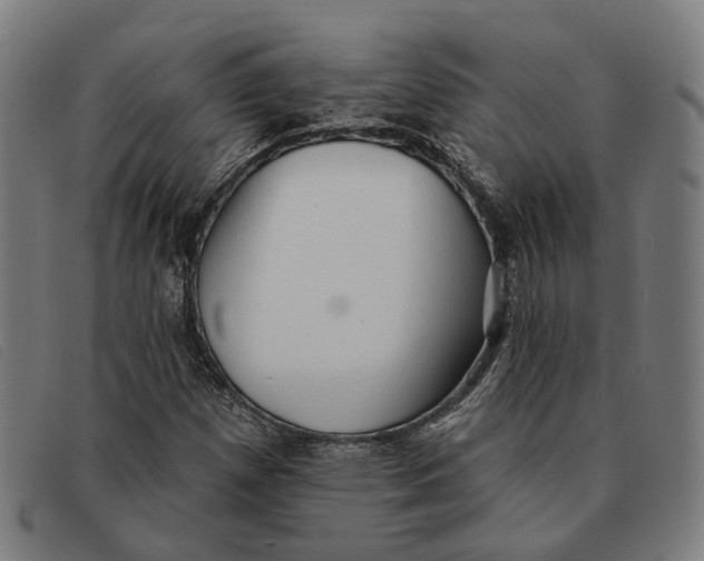 X0000091331257200708311430