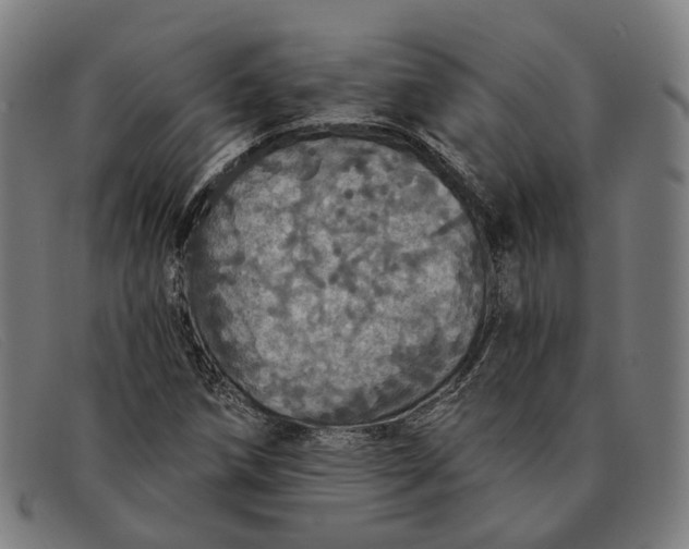 X0000091331258200708311430