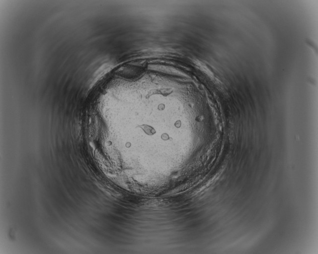 X0000091331259200708311430