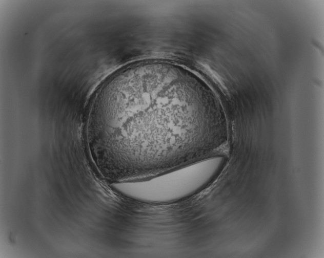 X0000091331260200708311430