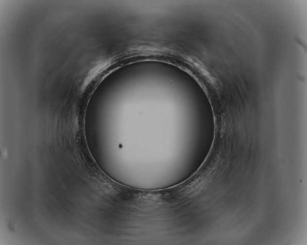 X0000091331261200708311430
