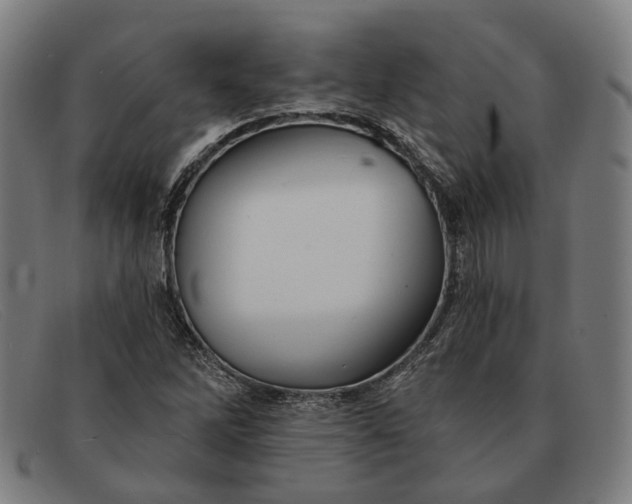 X0000091331262200708311430