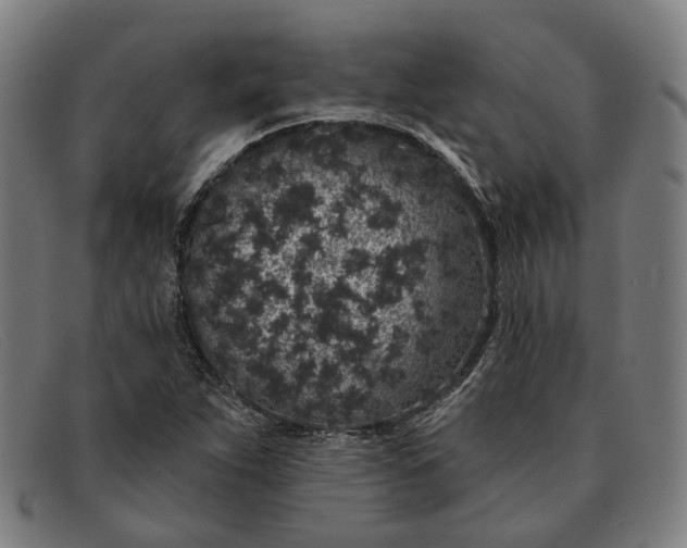 X0000091331263200708311430