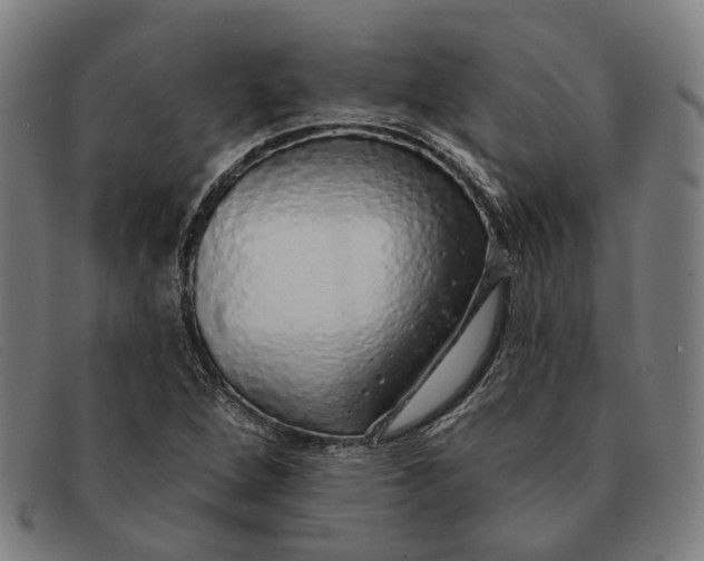 X0000091331264200708311430
