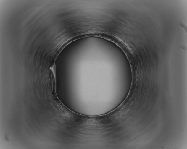 X0000091331265200708311430