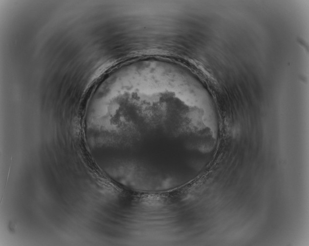 X0000091331266200708311430