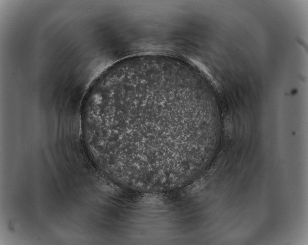 X0000091331267200708311430