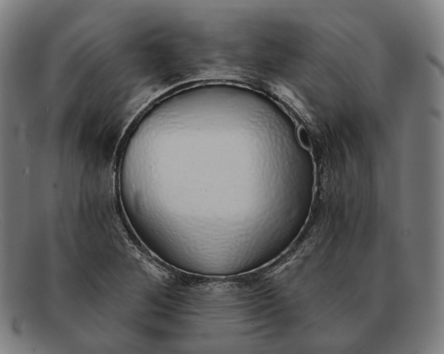 X0000091331268200708311430
