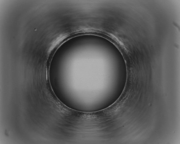 X0000091331269200708311430