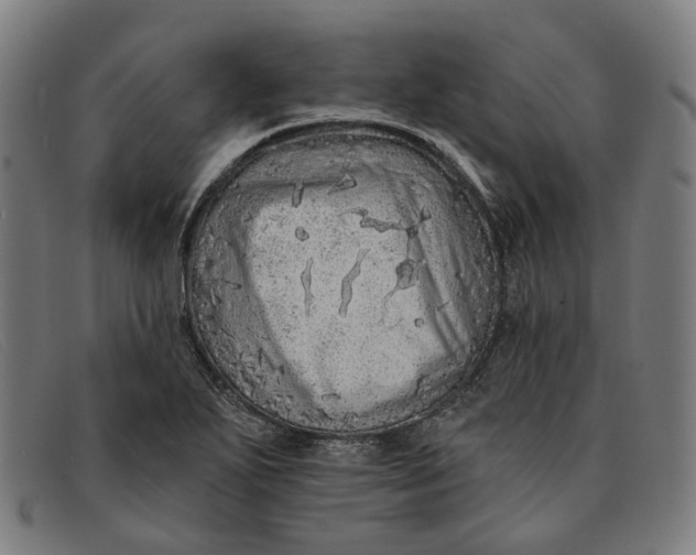 X0000091331271200708311430