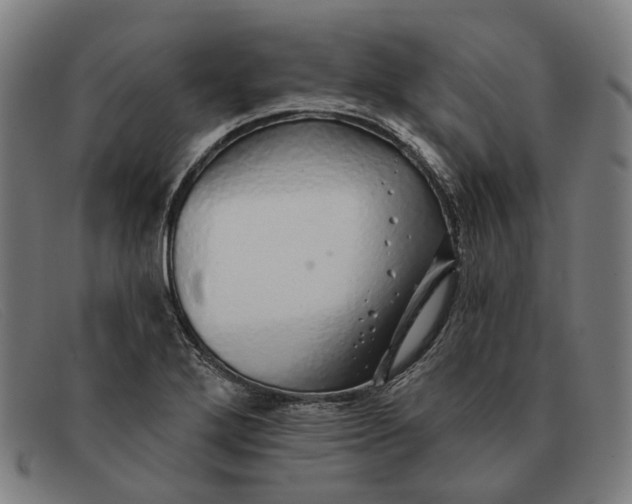 X0000091331272200708311430