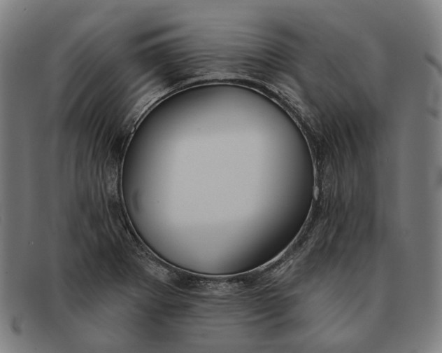 X0000091331273200708311430