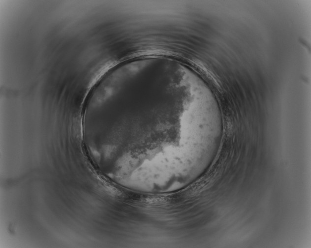 X0000091331274200708311430