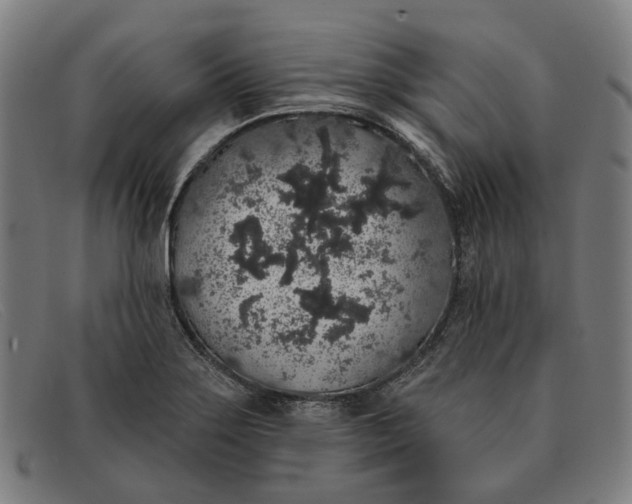 X0000091331275200708311430