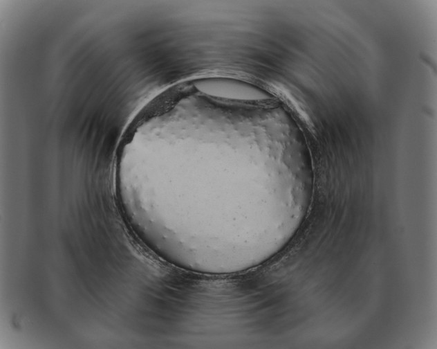 X0000091331276200708311430