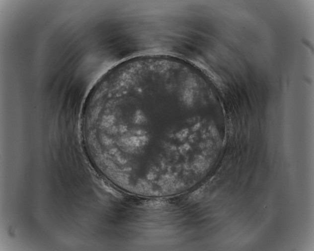 X0000091331278200708311429