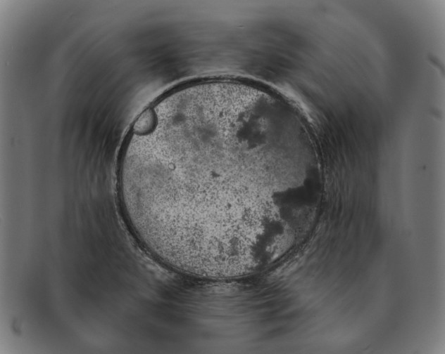 X0000091331279200708311429