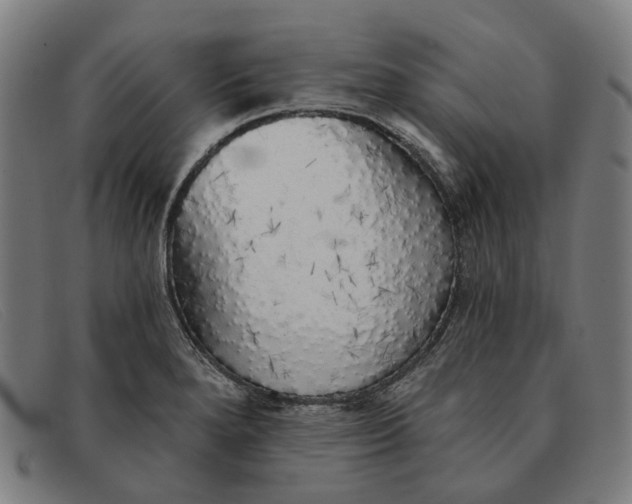 X0000091331280200708311429