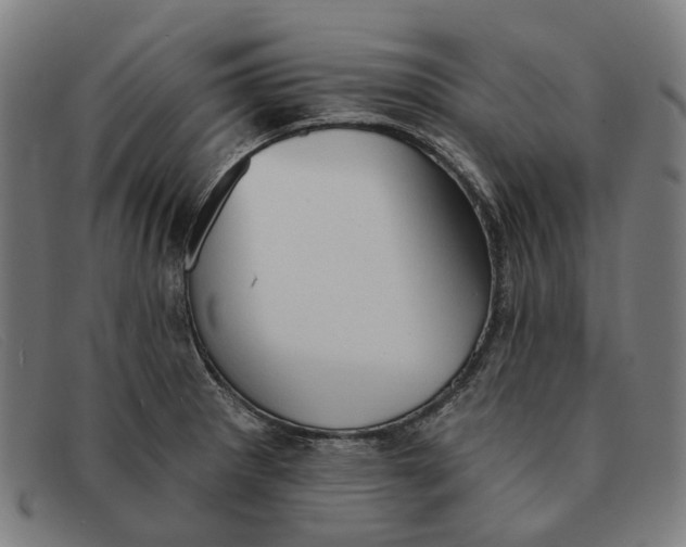 X0000091331281200708311429