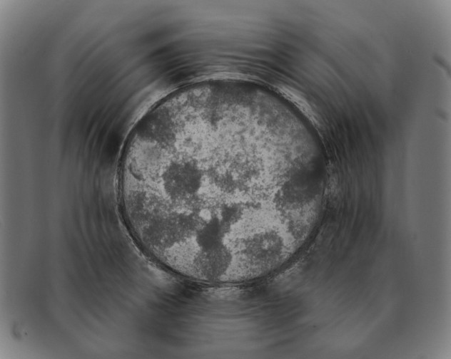 X0000091331282200708311429