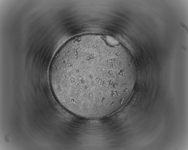 X0000091331283200708311429