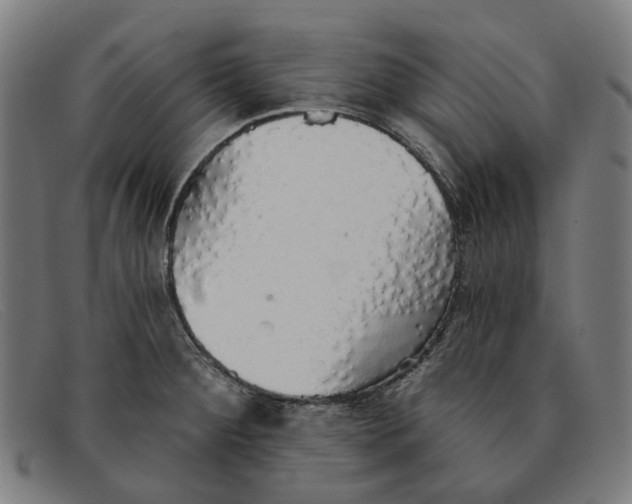 X0000091331284200708311429