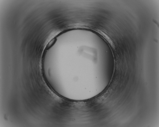 X0000091331285200708311429