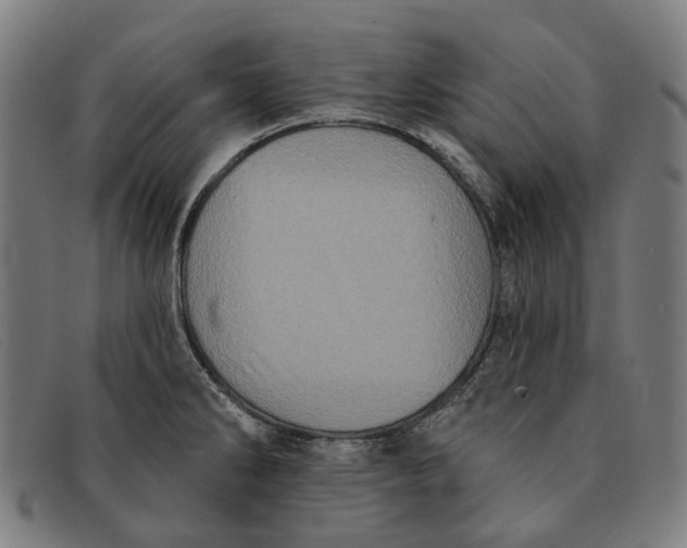 X0000091331286200708311429