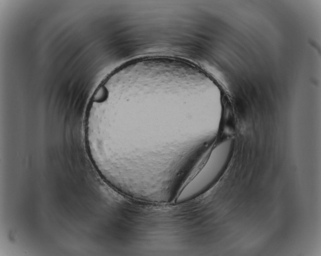 X0000091331288200708311429