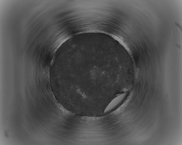 X0000091331289200708311429